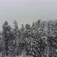 Beutifull View Of Snowy Forest - VideoHive Item for Sale