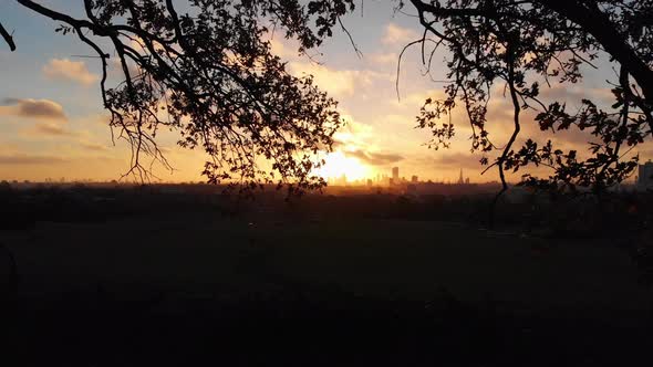 Drone shot through tree branches revealing beautiful sunrise over London skyline alt