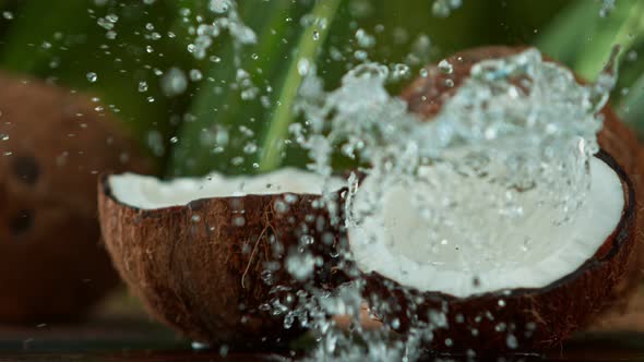 Super Slow Motion Shot of Water Splashing on Coconut at . alt