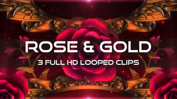 Rose & Gold Vj Loop