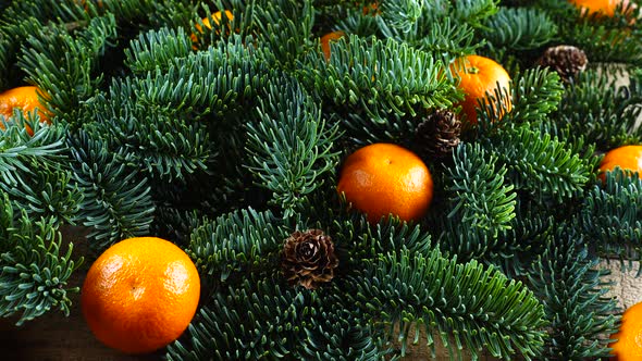 The Abies nobilis branch is on an old wooden vintage board and tangerines alt