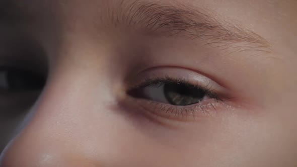 Portrait of a Funny Little Girl Looking at Camera, Close Up Eye, Sunny Summer Day, Cute Baby Face of alt