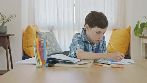 Young boy sitting at home preparing homework for school alt