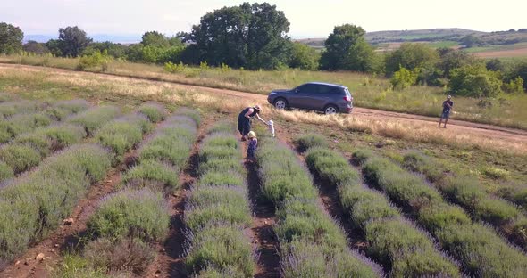 Family Take Picture on Lavender Field