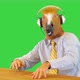 Chilling Man Wearing Wireless Headphones Sit at Table in Horse Mask Listening to Music and Dancing - VideoHive Item for Sale