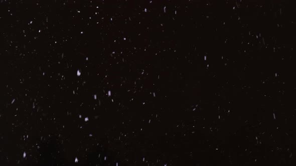 realistic falling snow on black sky background