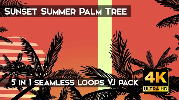Sunset Summer Palm Tree VJ Loops