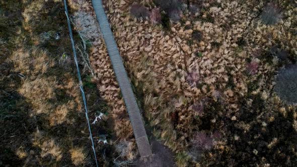 Aerial flies over marshland hiking trail peat moss sphagnum natural reserve alt