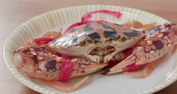 Fresh flower crab alt