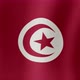 The National Flag of Tunisia - VideoHive Item for Sale