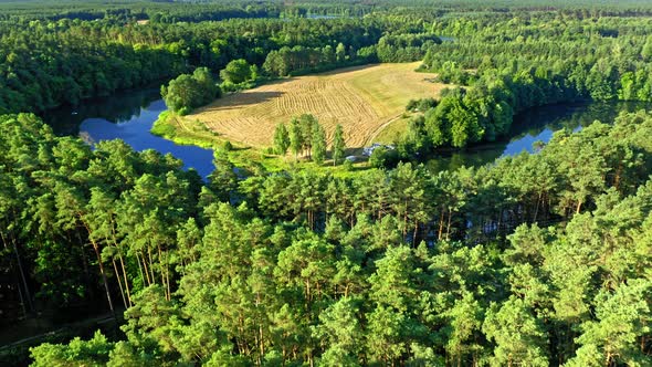 Green forest and winding river at sunrise, Poland, aerial view alt