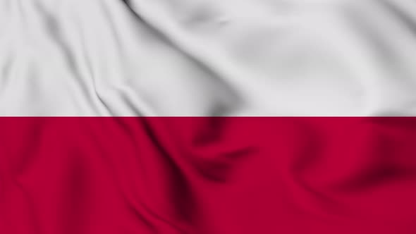 Poland flag seamless waving animation