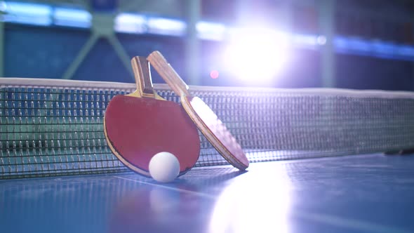 Ping Pong Paddles and Balls alt