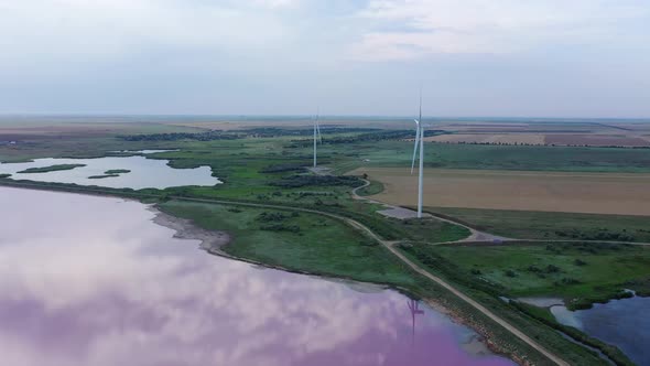 Wind generators on the shore of the pink lake. Aerial view in the evening