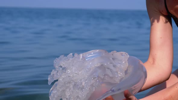 Woman Holds a Large Sea Jellyfish Against the Backdrop of the Black Sea, Rhizostoma alt