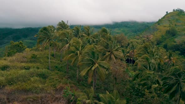 Cinematic aerial rising up and over a small mountain to reveal a wide forest covered valley as cloud alt