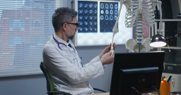 Doctor Using Skeleton Model for Analyzing Hand Anatomy alt