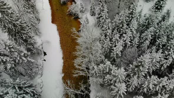 Beautiful view on an River in Schiederweiher in Upper Austria Drone Video alt