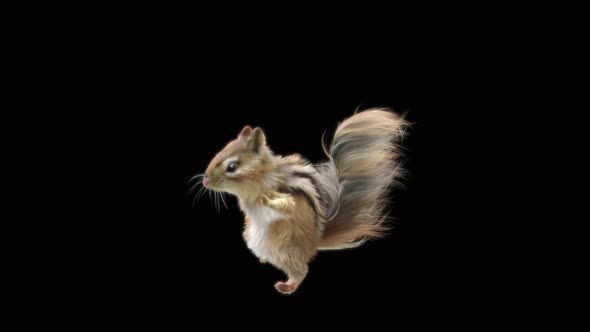 71 Chipmunk Dancing 4K