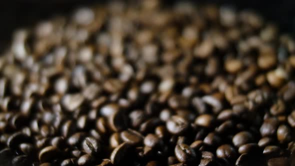 Roasted Coffee Beans in the Soft Light in 