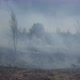 Heavy Smoke Forest Fire Ukraine In Spring - VideoHive Item for Sale