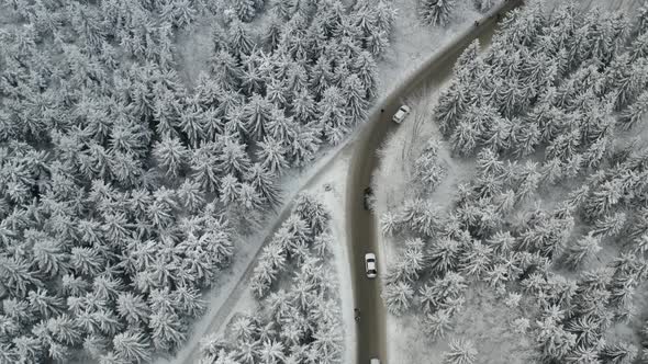 Aerial View of Cars Driving on the Road Through Frozen and Covered with Snow Pine or Spruce Forest alt