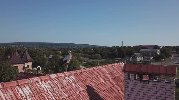 One Crane is on the Roof alt