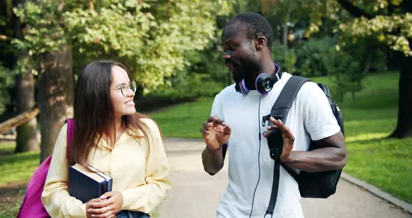 Multiracial Students Chatting in Park