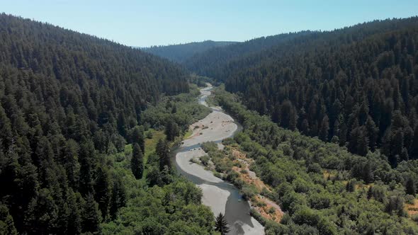 4K Aerial of River Flowing through Humboldt Redwood Old Growth Forest