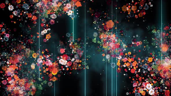 Spring Flowers Multipack alt