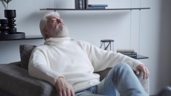 Relaxed Mature Man with a Gray Beard at Home Sitting in a Chair alt