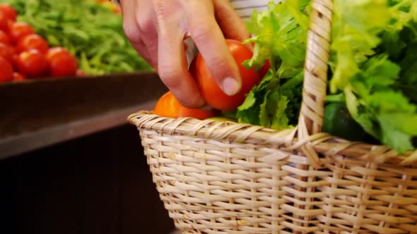 Man putting tomatoes in basket alt