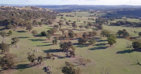 Aerial flight over forest in Australia with sun and clouds in the background, long distance shot mov alt