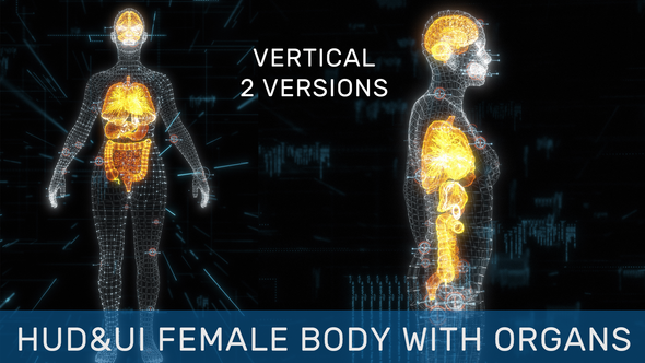 HUD UI Female Body With Organs Pack