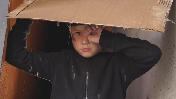Poor Orphan Boy Shelters From the Rain Under Cardboard Crying