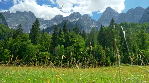 Triglav National Park, Julian Alps, Slovenia, Landscape with Green Meadow, Trees and Mountains alt