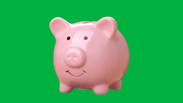 Saving money concept. Piggy bank rotation on chroma key green screen background. 