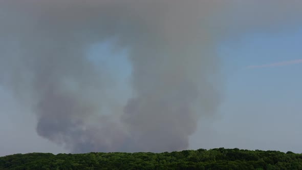 The Fire Over the Wood alt