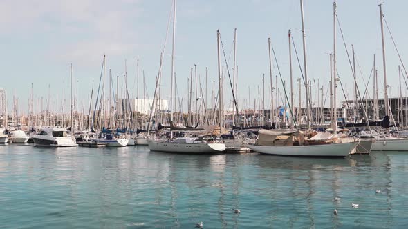 Many yachts and ships at the marina. A Sailboats is moored at the quay