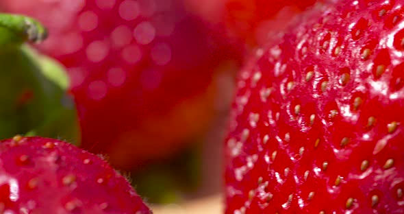Macro pan over bright red, fresh, ripe strawberries in the summer sun alt