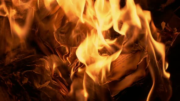 Book Pages Curling Up In Fire alt