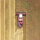 Aerial View Combine Harvester Harvesting Cereal Crops And Works In A Rural Field