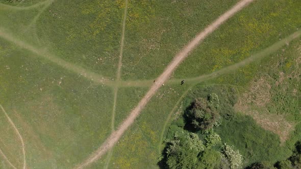 People Walking Dogs Drone Bird's Eye View Buttercup Meadow Park Kenilworth Warwickshire