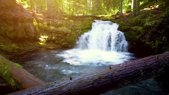 Aerial shot of the beautiful White Horse Falls in Oregon, USA. alt