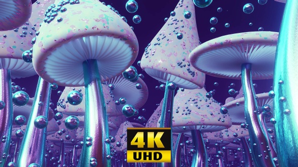 Mushroom Country 4K alt