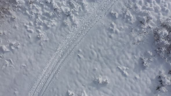 Forest path snowed by early December 4K drone video alt