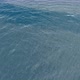 Aerial View of the Water Surface - VideoHive Item for Sale