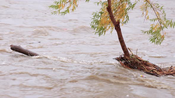 Flooded Los Angeles River alt