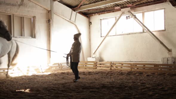 An Elderly Woman Trains a Horse on the Arena