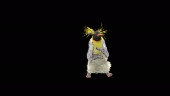 Penguin Dancing 4K alt